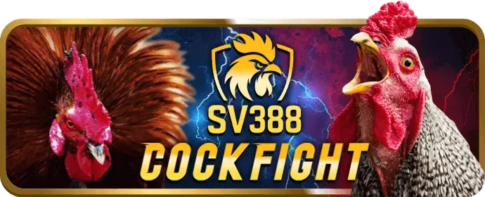 Nhấn nút Đăng Ký tại 555win vip